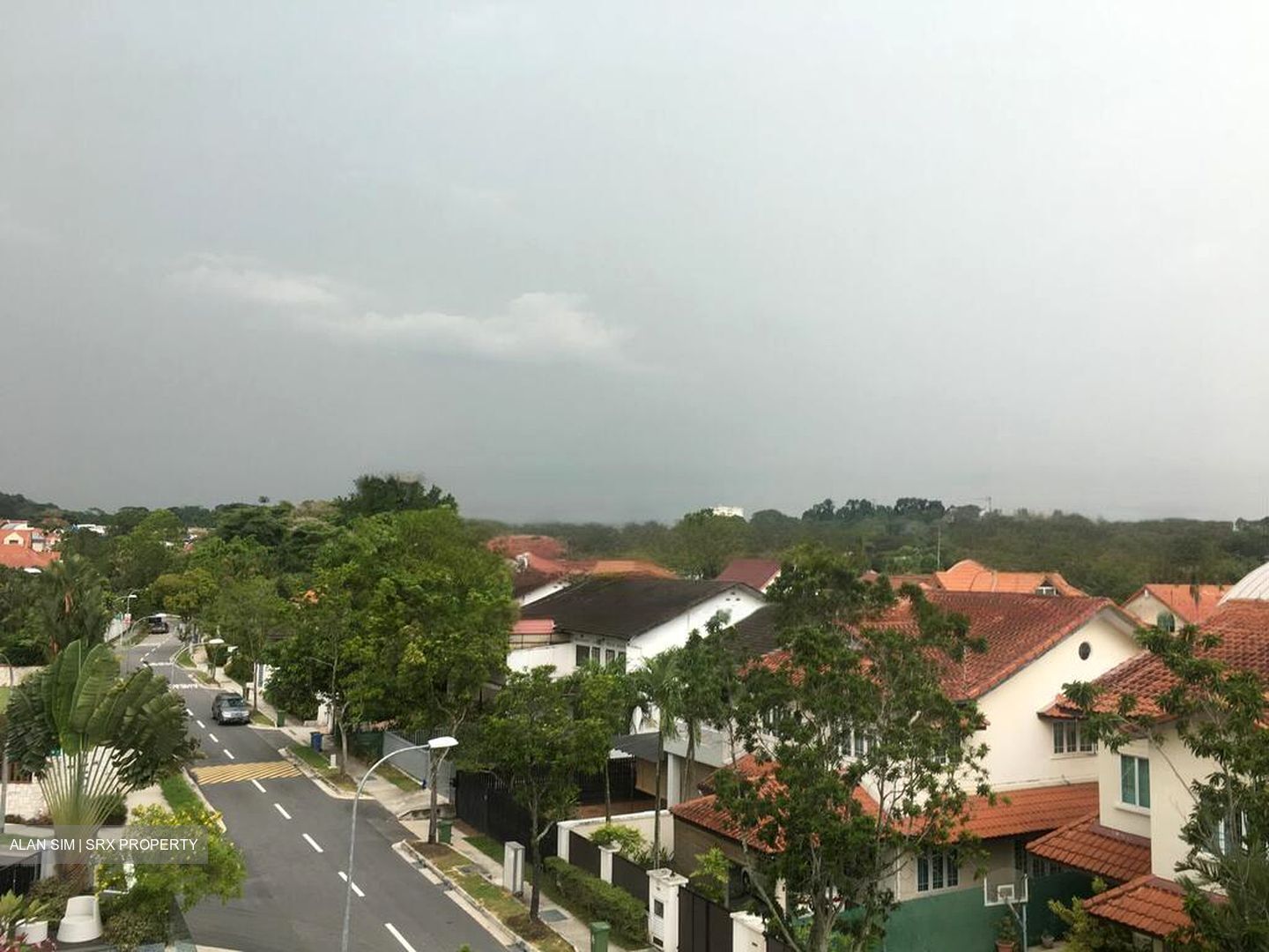 Bukit Timah Road (D10), Semi-Detached #458283811